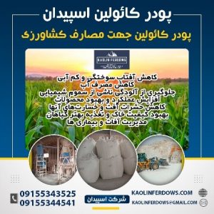 پودر کائولین اسپیدان جهت مصارف کشاورزی-پودر میکرونیزه کائولین معادن کائولین قلندرکوه و نادر فردوس-سایت تبلیغاتی راهرو